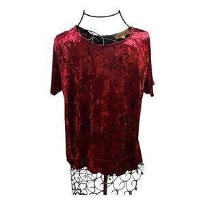 Onetheland Shirt Women’s Small Crushed Velvet Burgundy Short Sleeve Round Neck